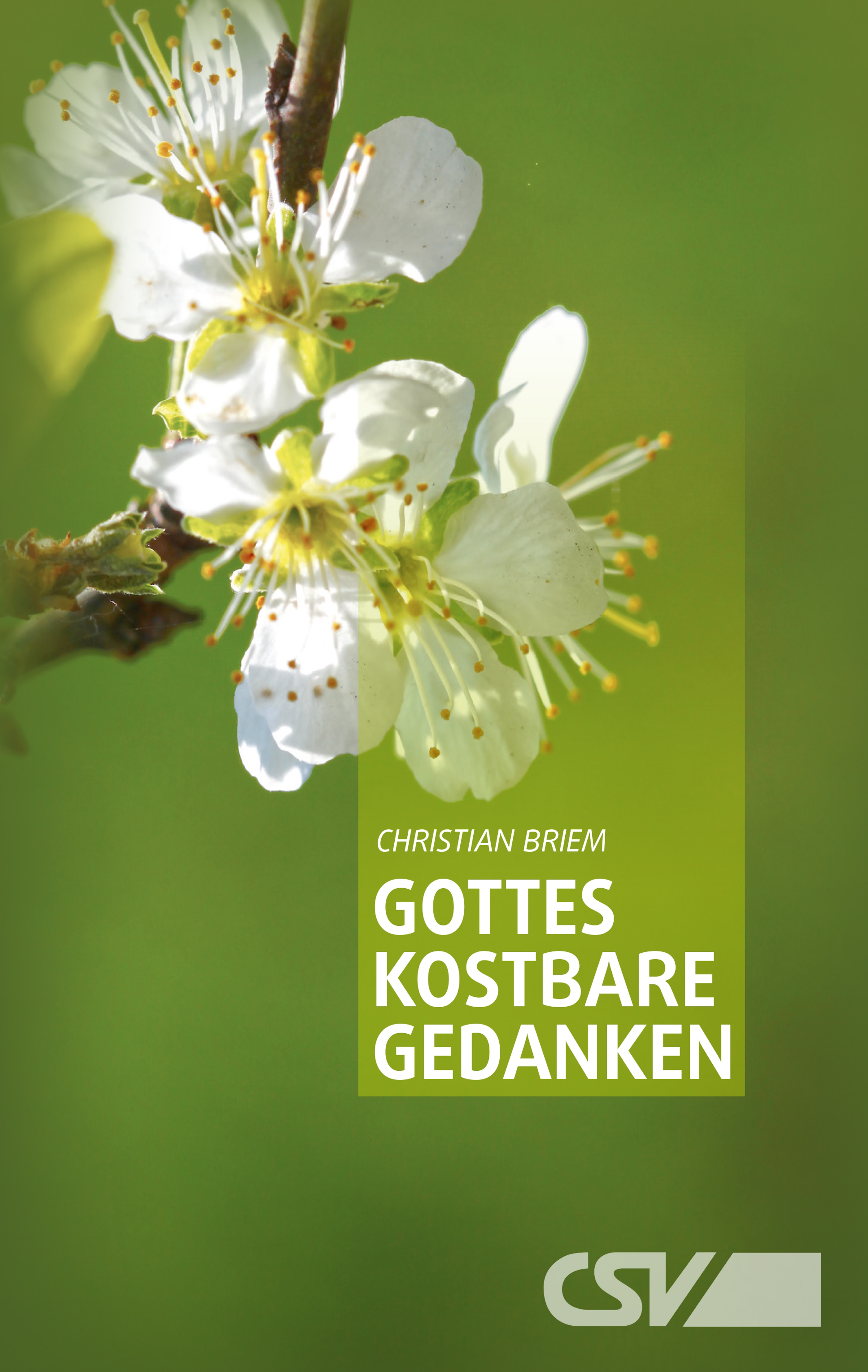 Gottes kostbare Gedanken